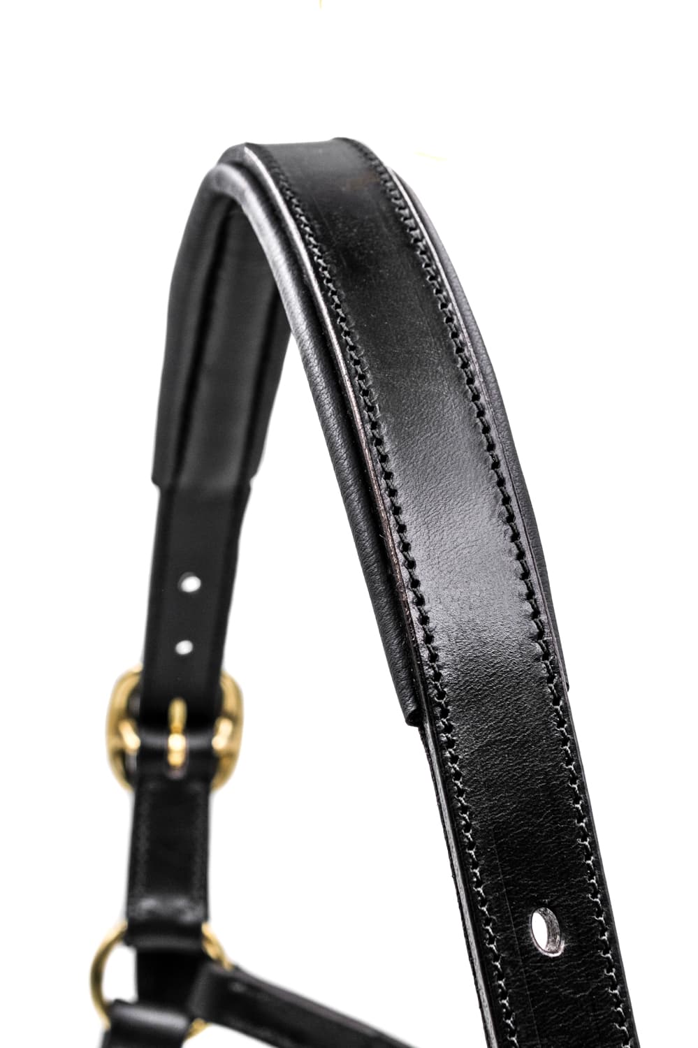 Padded Leather Headcollar - Continental Style - Image 2